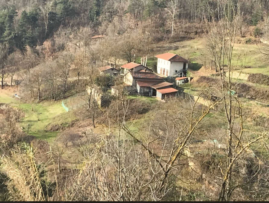 La Collina degli Scoiattoli 