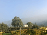 Tenuta Cassia Vetus (Luxe appartementen)