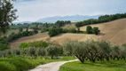 Agriturismo Casa Buona Vecchia 