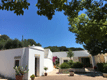 Il Quieto Uliveto (Vakantiehuis en Trullo)