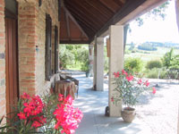 Appartementenen B&B Lucertola