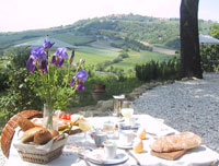 Appartementenen B&B Lucertola