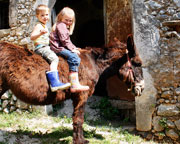Italy Farm Stay