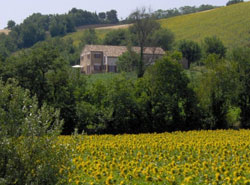 B&B en Appartementen Casa Onda