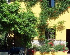 Vakantieappartementen Piramide Verde