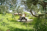 Blokhut, Ingerichte tent en mini-camping Rocca di Sotto