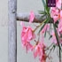 B&B Borgo Vallone